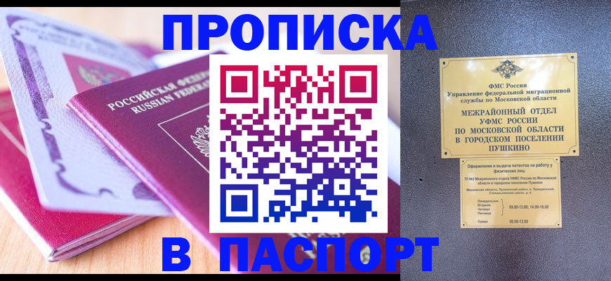прописка законно в Колпашево